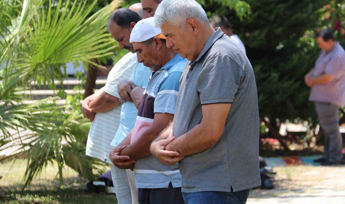 Muğla’nın Milas ilçesindeki Yeni