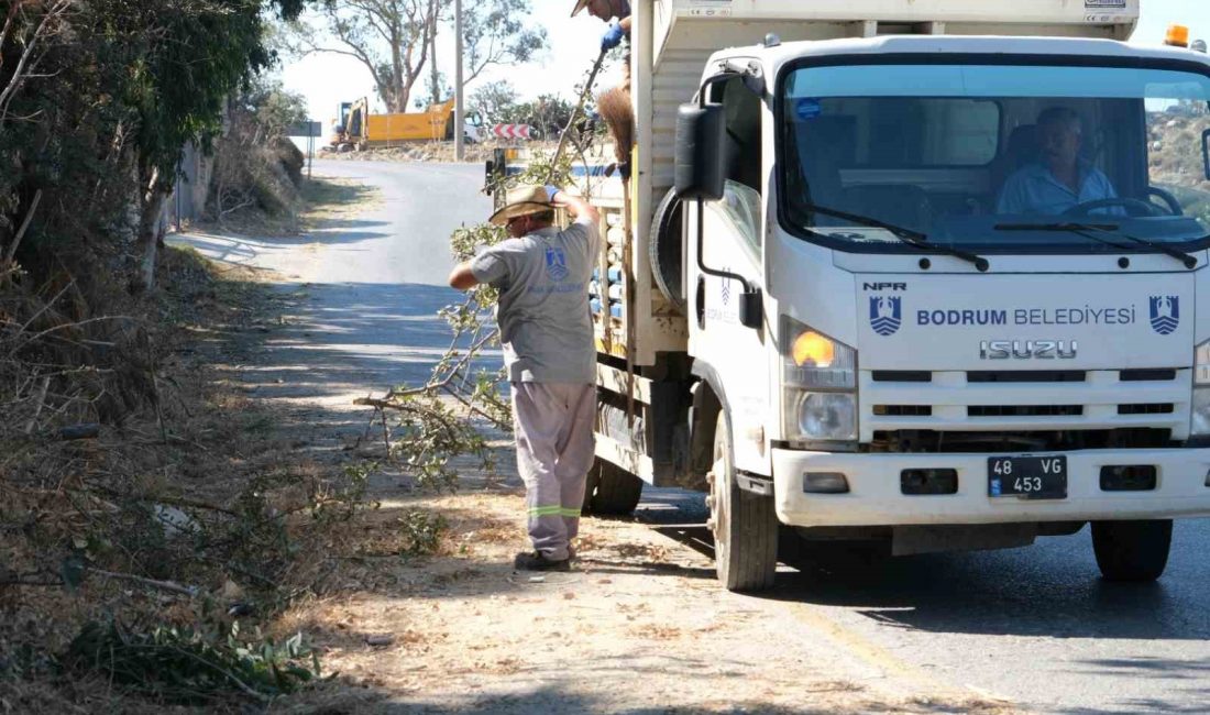 Bodrum Belediyesi ekipleri, temizlik