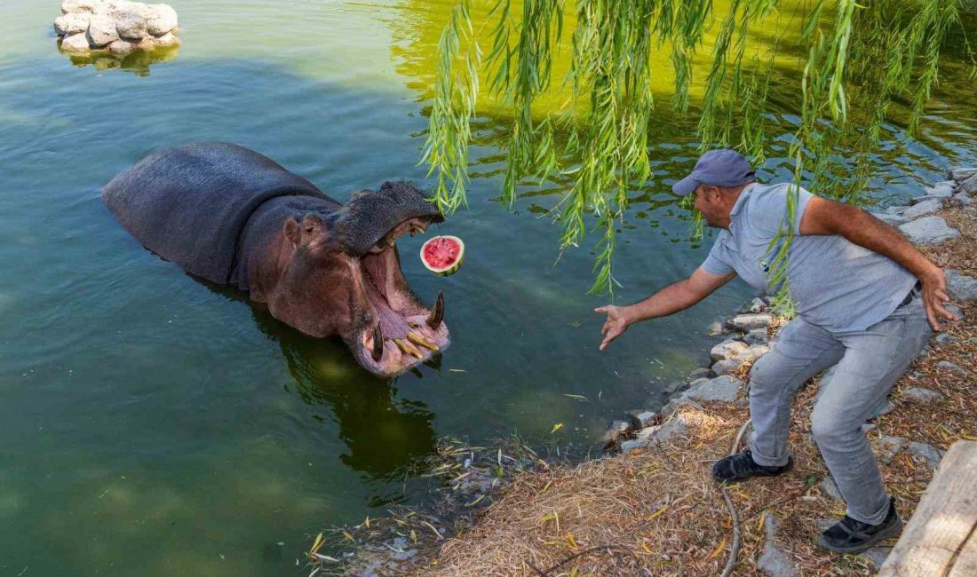 İzmir’in Tire ilçesinde 25