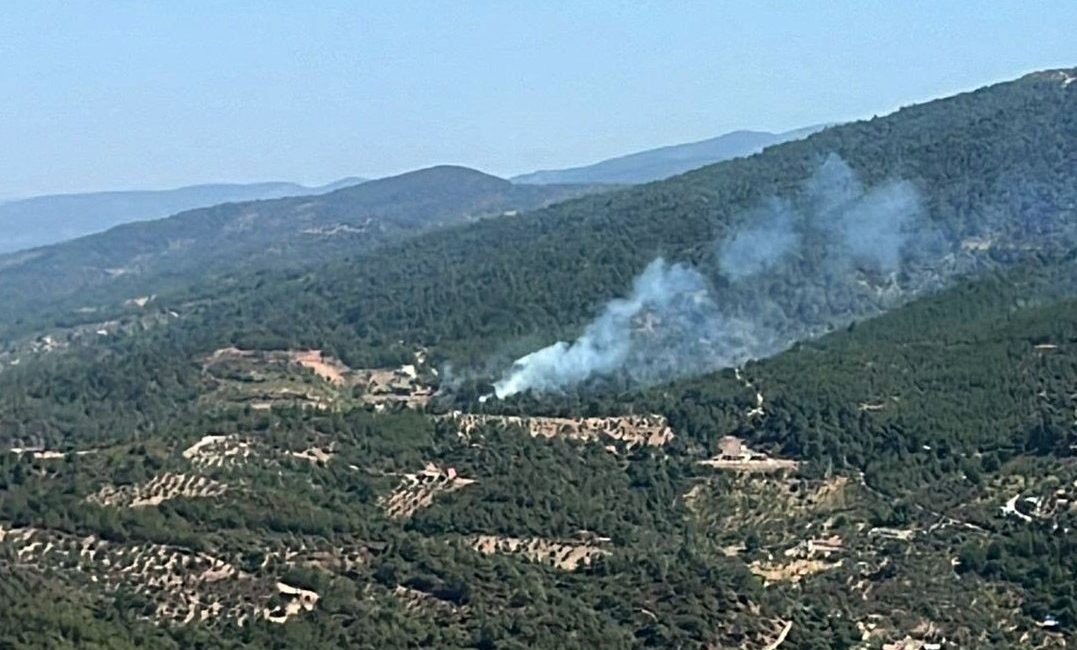 İzmir’in Kemalpaşa ilçesinde çıkan