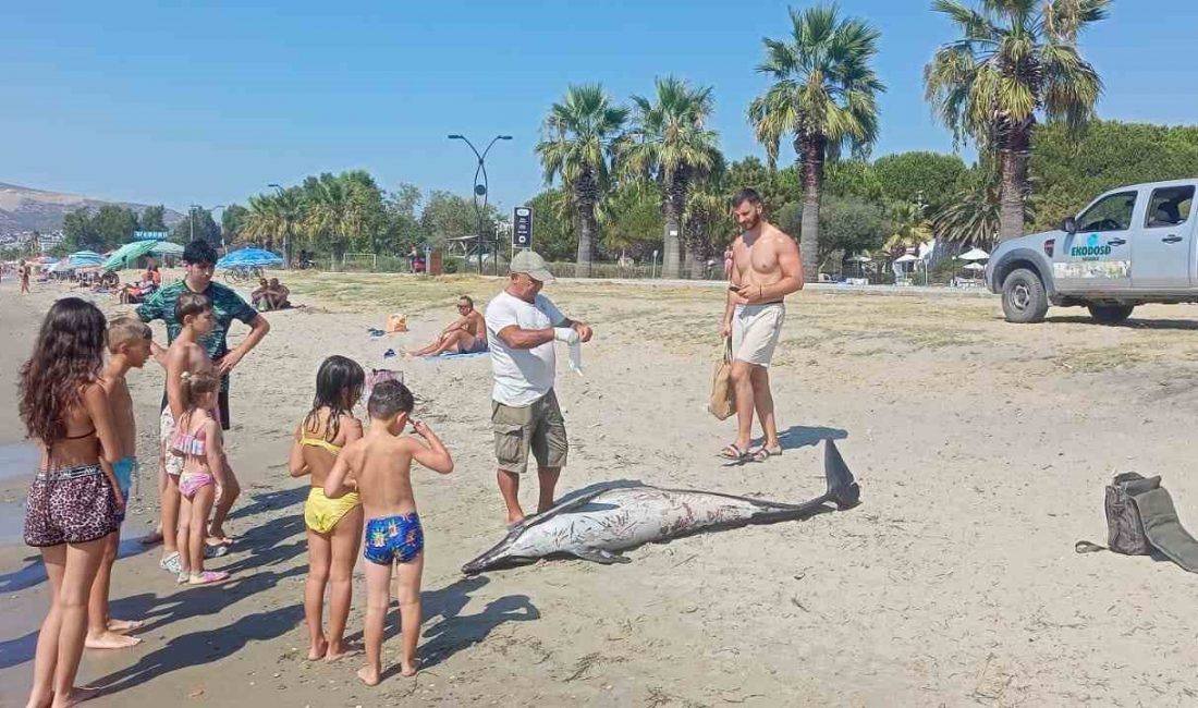 Aydın’ın Kuşadası ilçesinde sahile