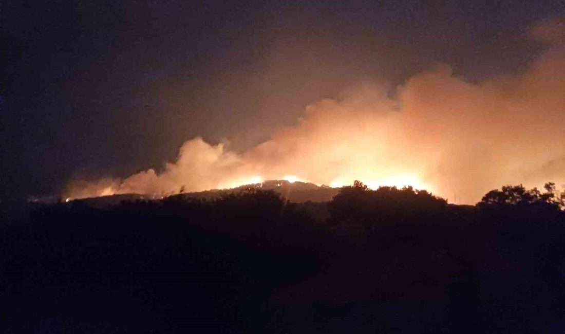 Manisa’nın Gördes ilçesinde çıkan