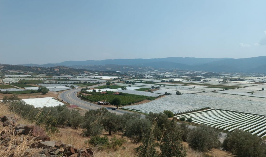 Manisa’nın Sarıgöl ilçesinde kış