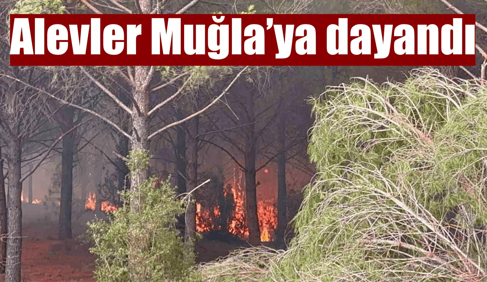 Alevler Muğla’ya dayandı