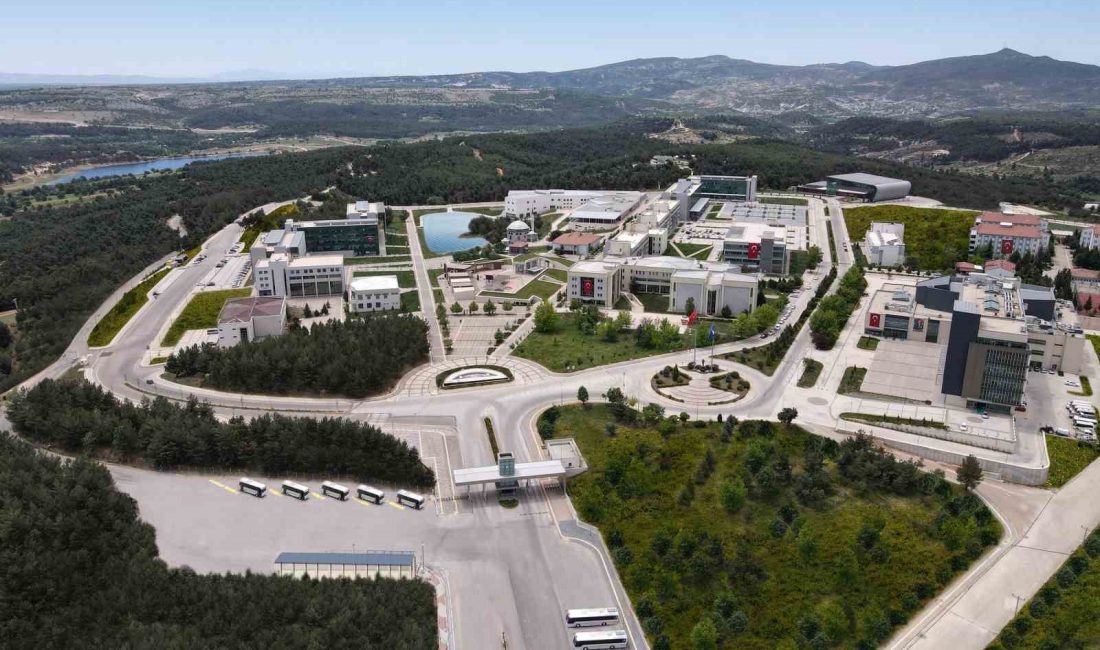 Uşak Üniversitesi, 2024 Yükseköğretim