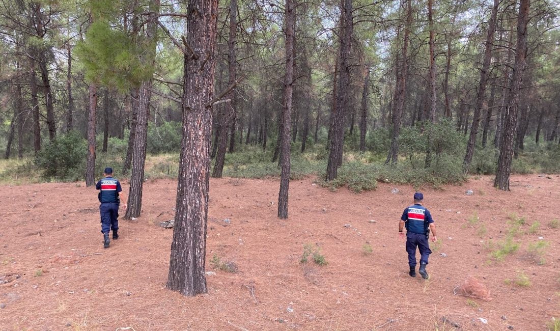 Aydın’da orman yangınları tedbiri