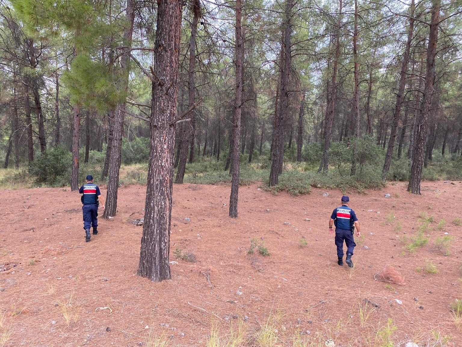 Yasak ormanlık alanlara giren 31 kişi cezadan kaçamadı