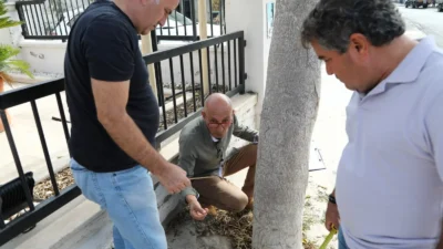 Bodrum Belediyesi zarar verilen ağaçları incelemeye aldı