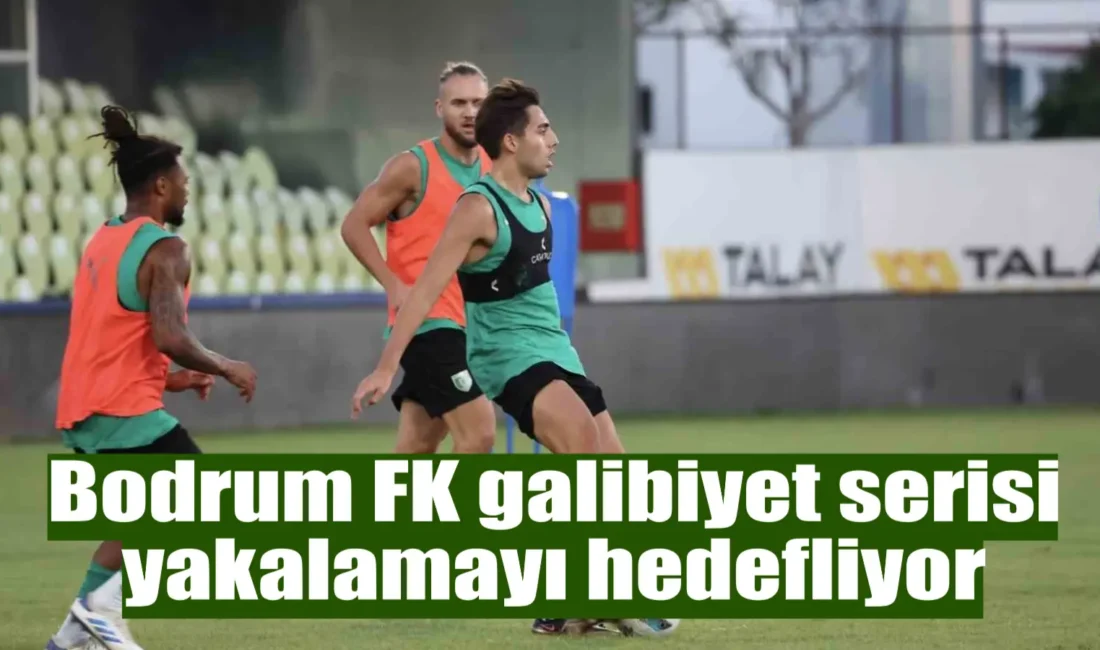 Bodrum FK Teknik Direktörü