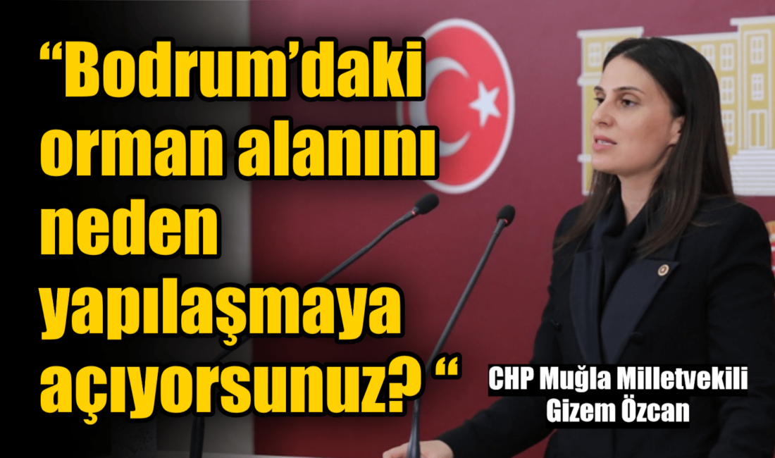 Cumhuriyet Halk Partisi (CHP)