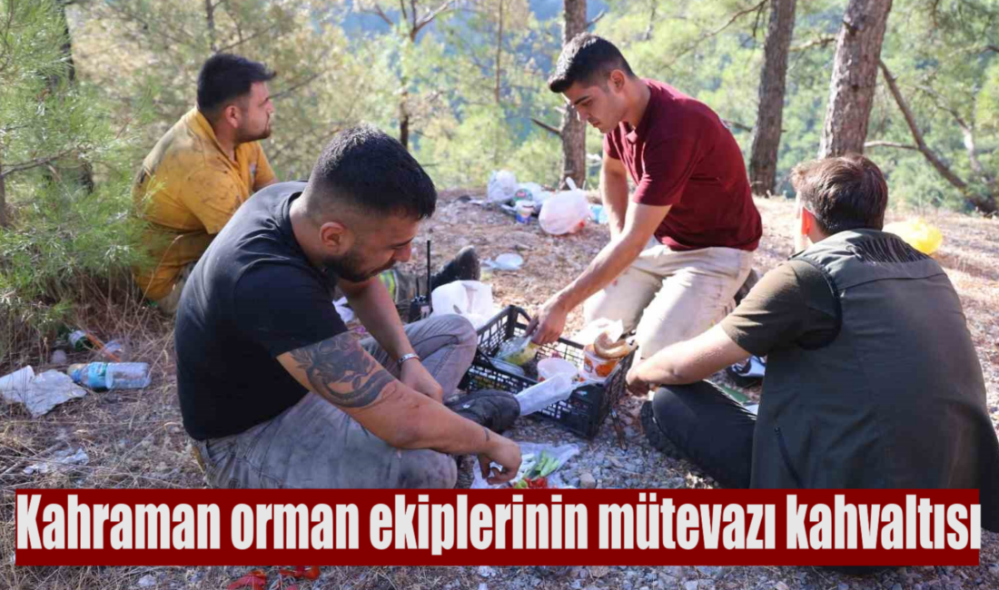 Muğla’nın Menteşe ilçesinde 7