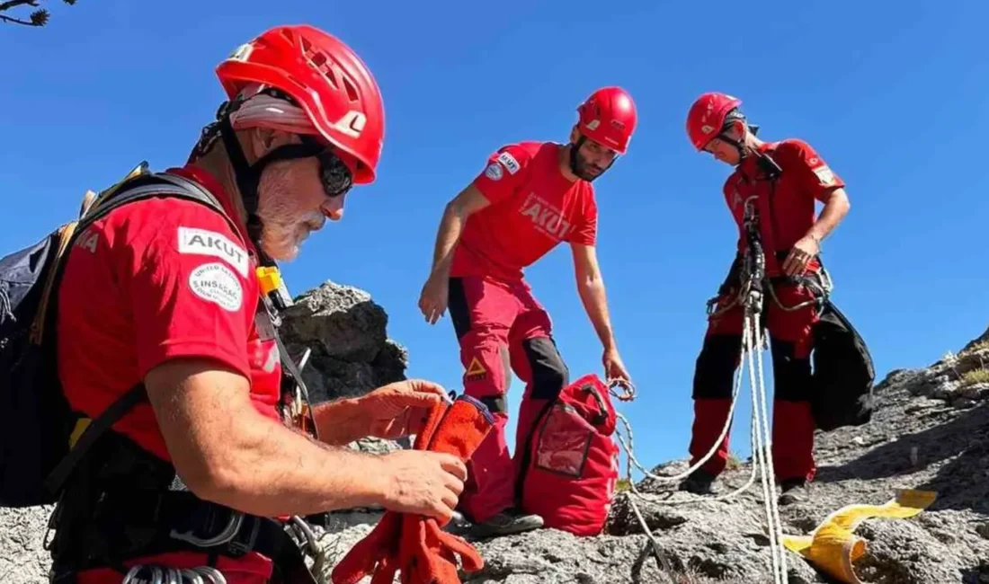 Fethiye’nin Ölüdeniz Mahallesi’nde bulunan