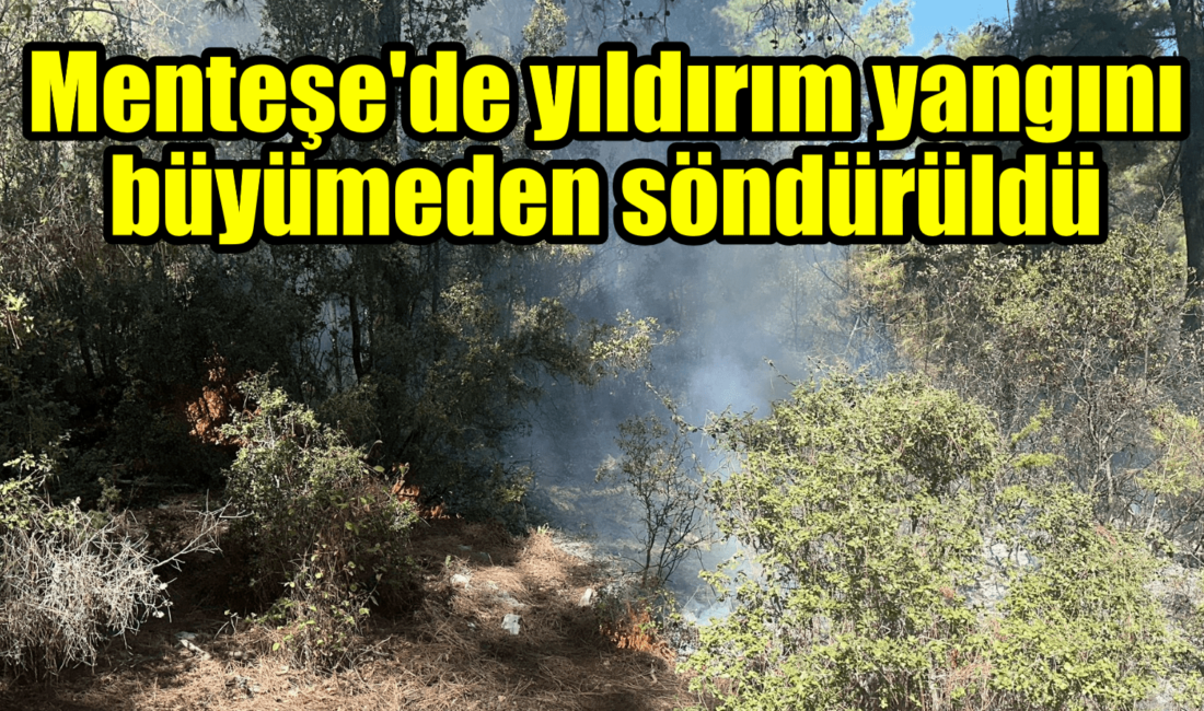 Muğla’nın Menteşe ilçesi Denizli Karayolu üzerinde yıldırım kaynaklı başlayan orman