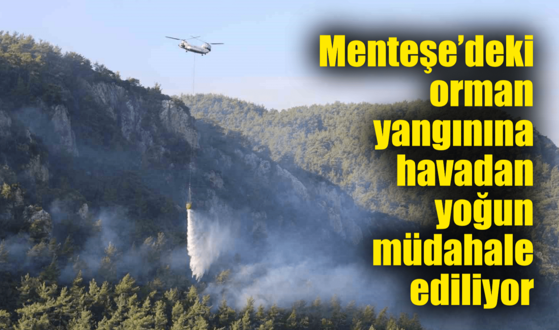 Muğla’nın Menteşe ilçesindeki orman