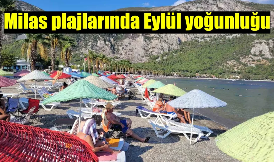 Muğla’nın Milas ilçesinde bulunan