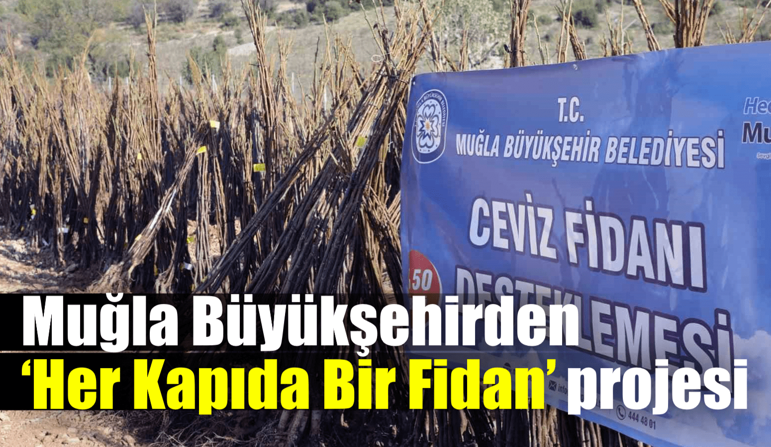 Muğla Büyükşehirden ‘Her Kapıda Bir Fidan’ projesi