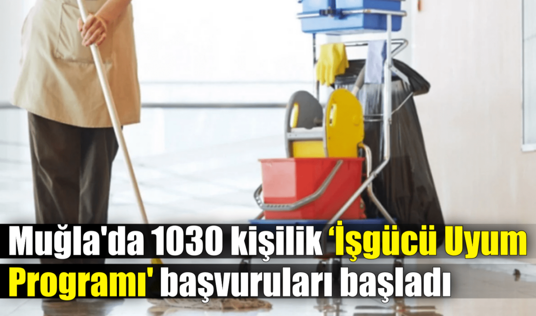 İşgücü piyasasına girmek isteyen