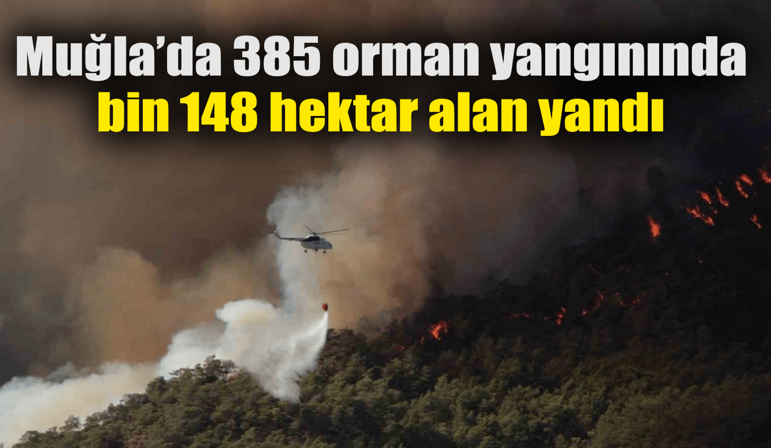 Muğla’da 385 orman yangınında bin 148 hektar alan yandı