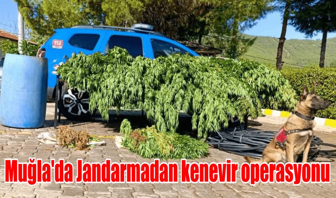 Muğla İl Jandarma Komutanlığınca