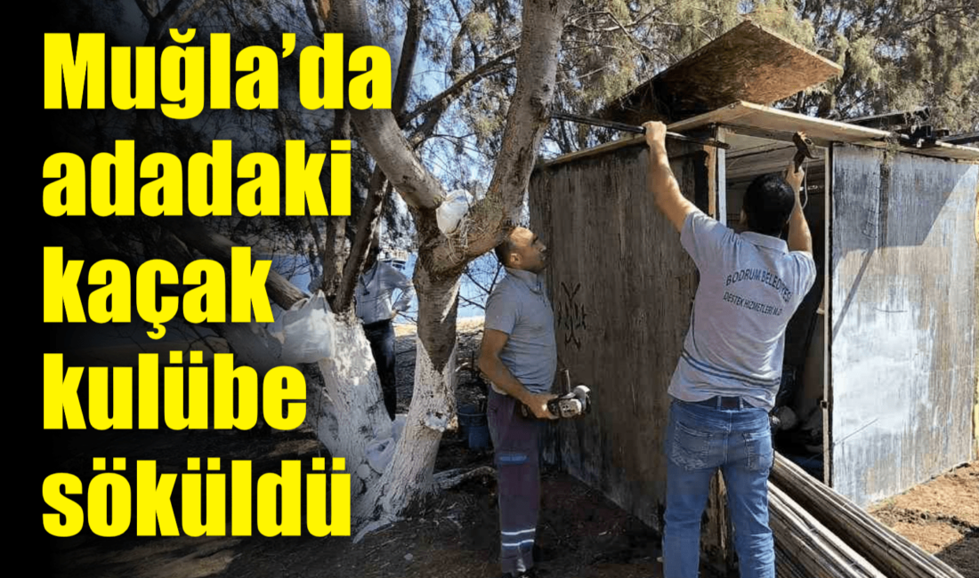 Muğla’nın Bodrum ilçesinde adaya