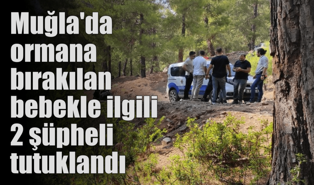 Muğla’nın Fethiye ilçesinde ormanlık