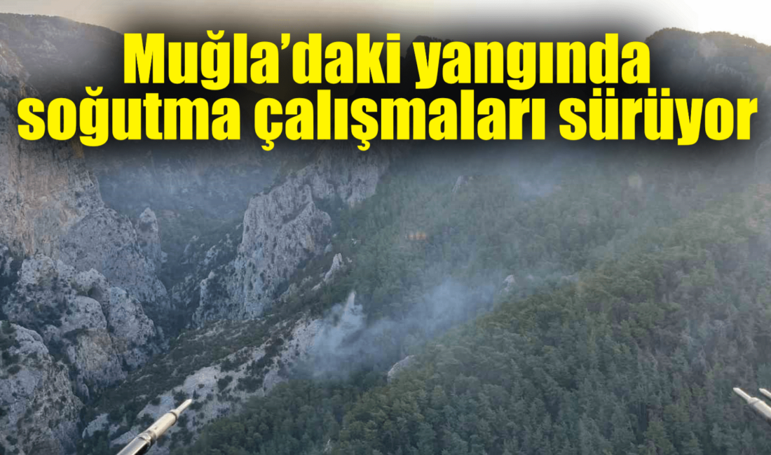 Muğla’nın Menteşe ilçesindeki orman