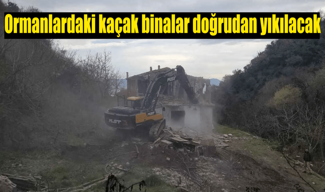 Devlet ormanlarında kaçak olarak yapılan tesis ve binalar, ekilen ve