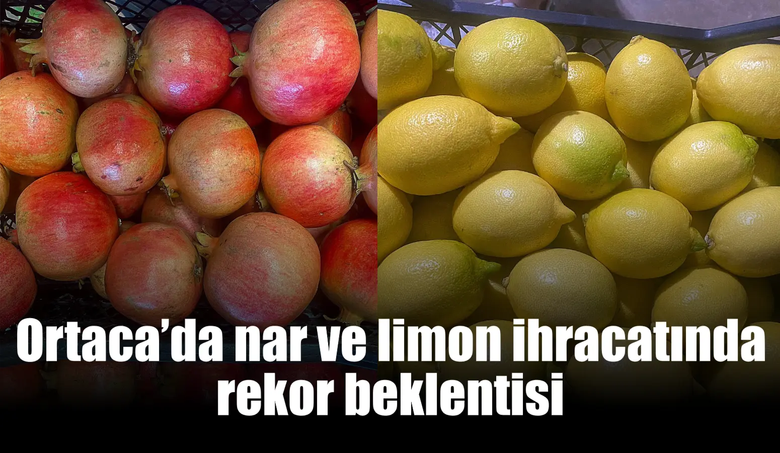 Ortaca’da nar ve limon ihracatında rekor beklentisi