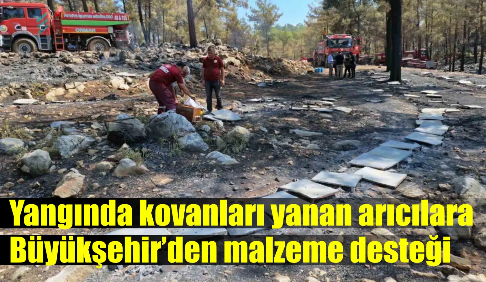 Yangında kovanları yanan arıcılara Büyükşehir’den malzeme desteği