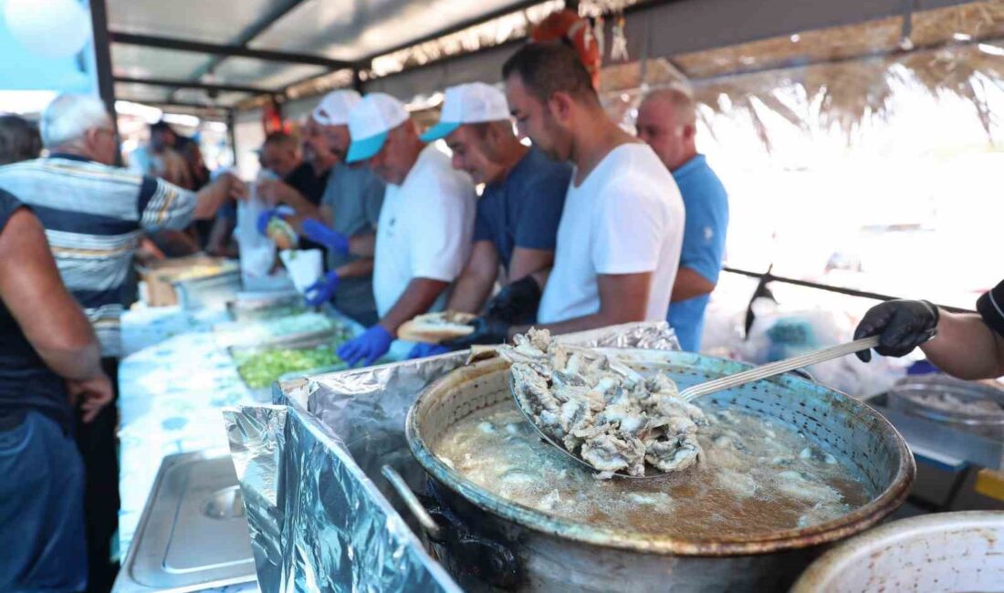 Aliağalı balıkçılar, ülke genelinde