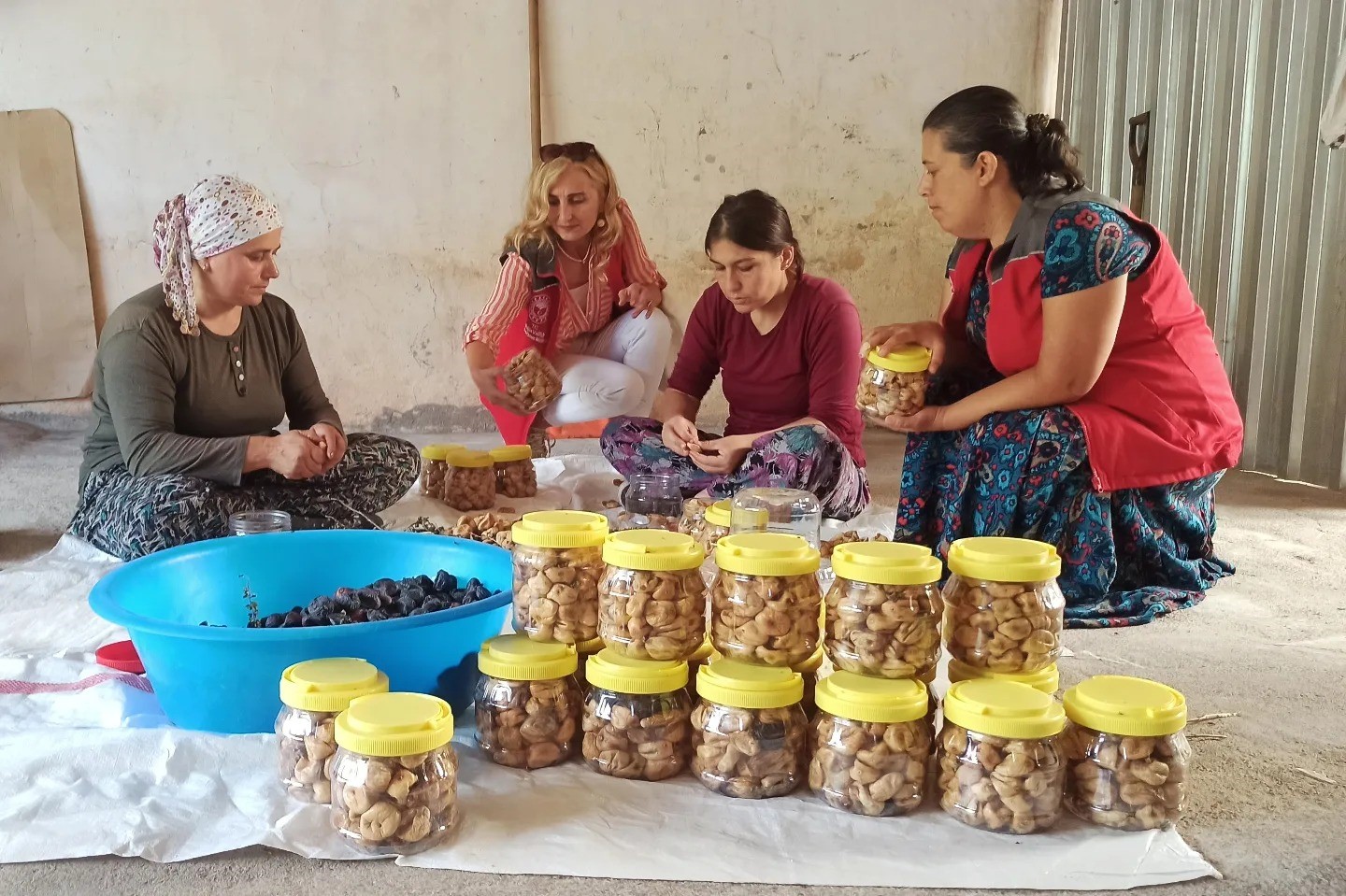 Fethiye İncirköy Mahallesi’nde hasat dönemi sona erdi