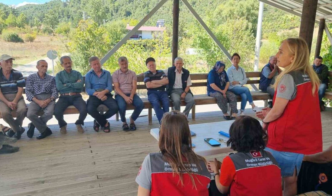 Muğla’nın Fethiye ilçesi bağlı