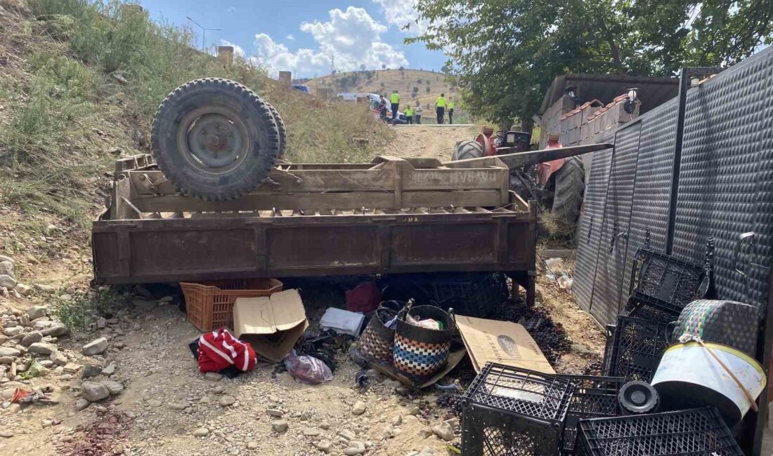 Manisa’nın Alaşehir ilçesinde üzüm