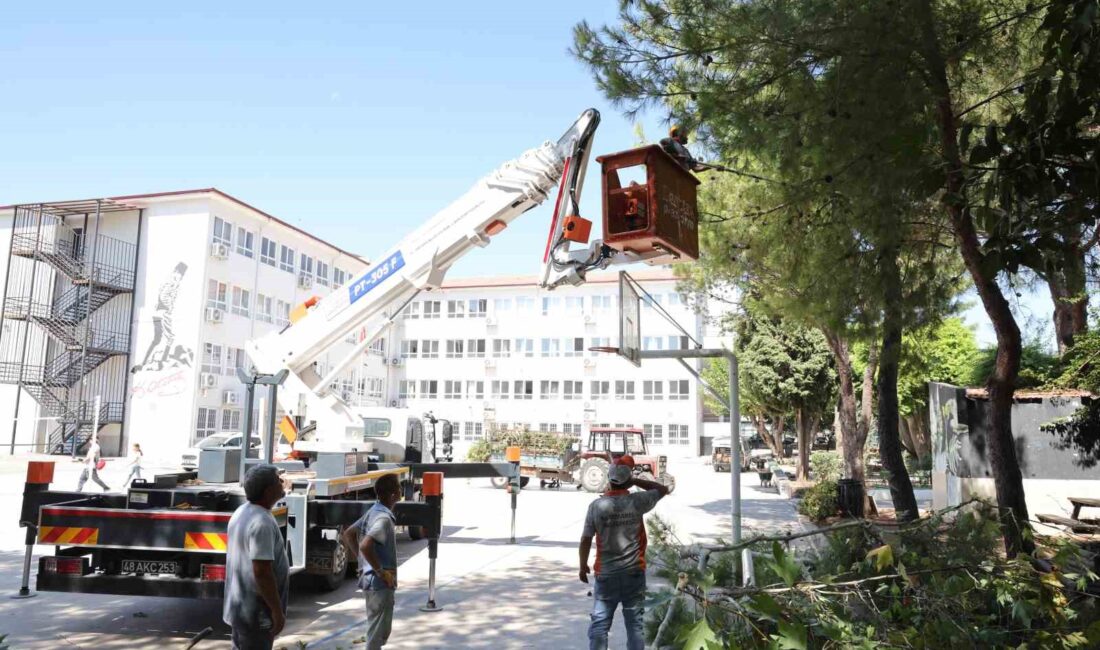 Marmaris Belediyesi, yeni eğitim