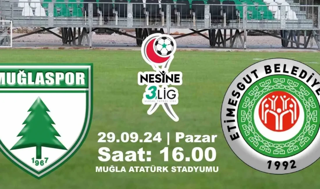 Nesine 3. Lig 2.