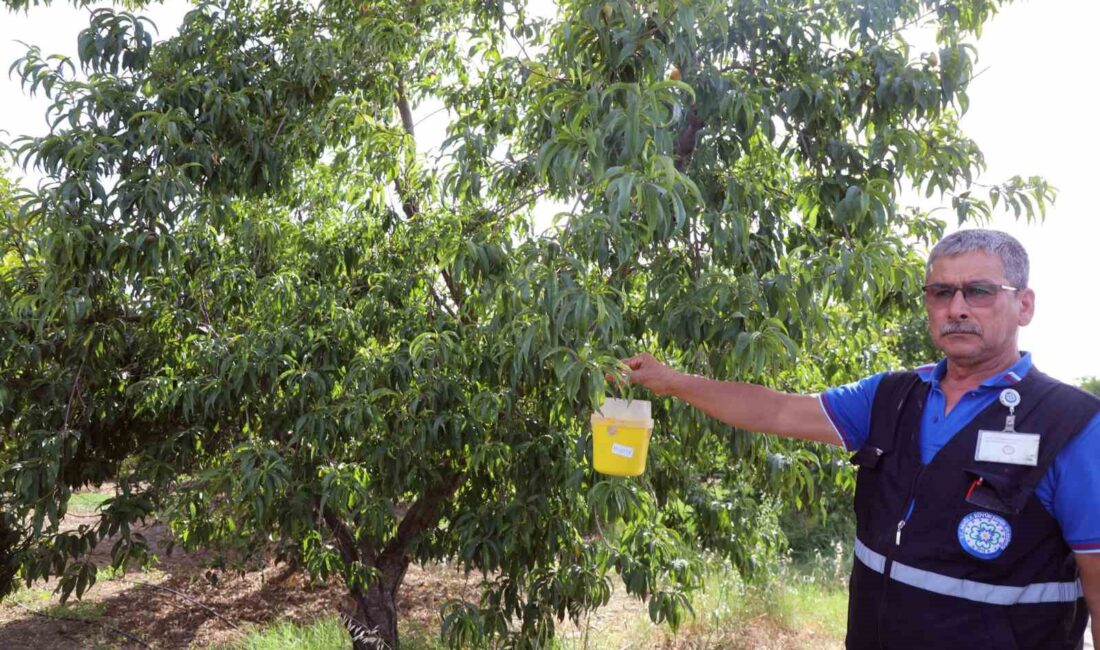 Muğla Büyükşehir Belediyesi il