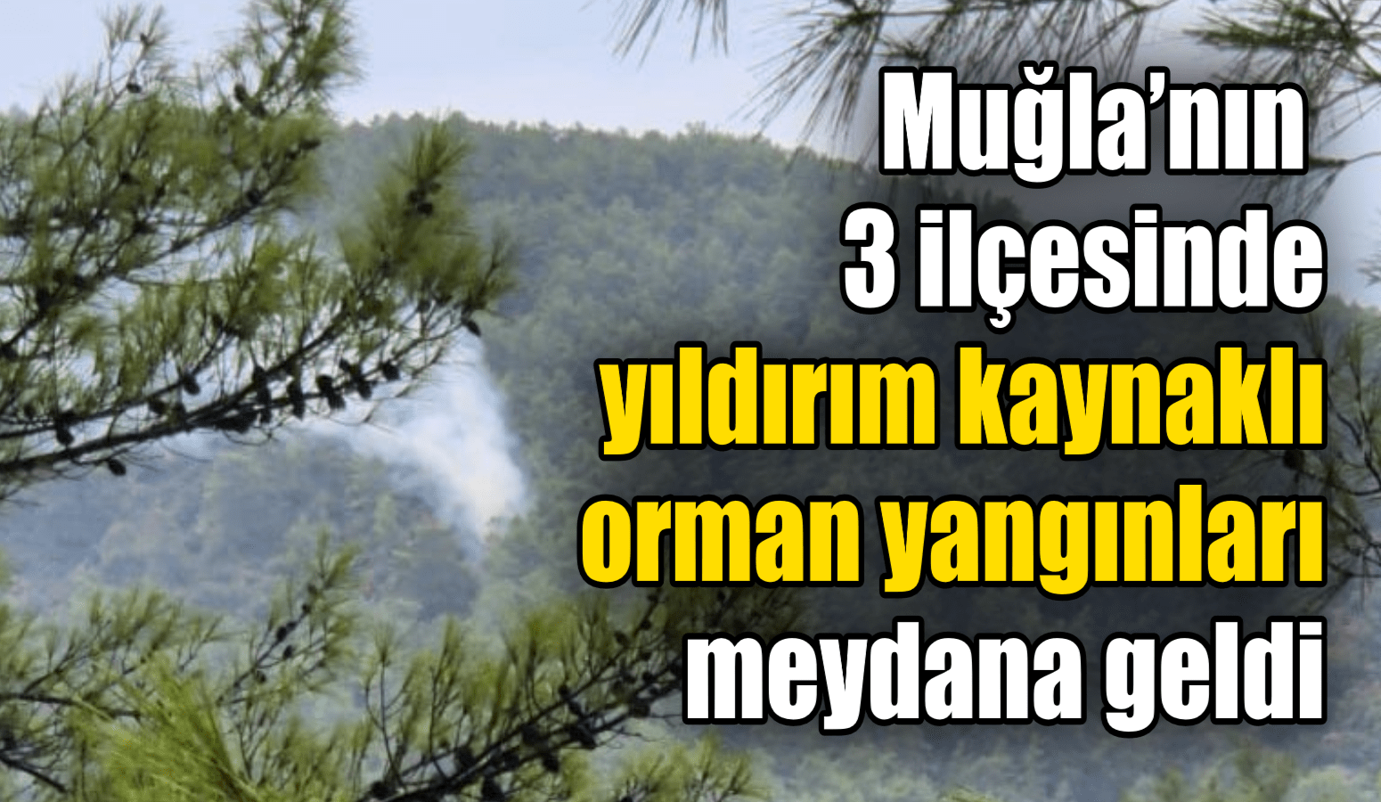 Muğla’nın 3 ilçesinde yıldırım kaynaklı orman yangınları meydana geldi