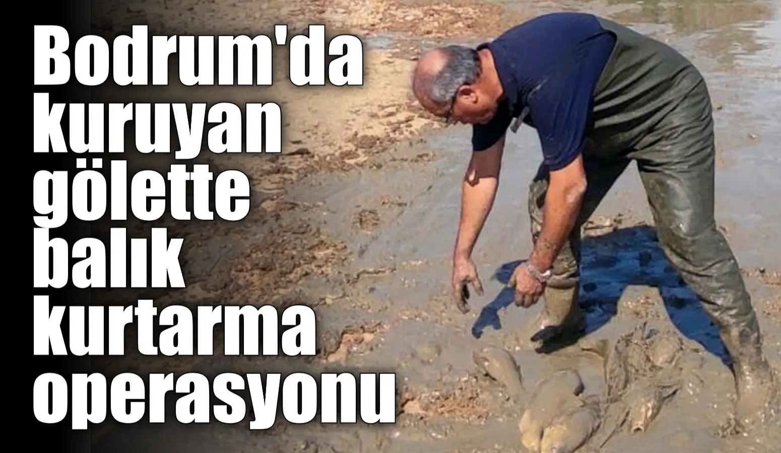 Bodrum’da kuruyan gölette balık kurtarma operasyonu