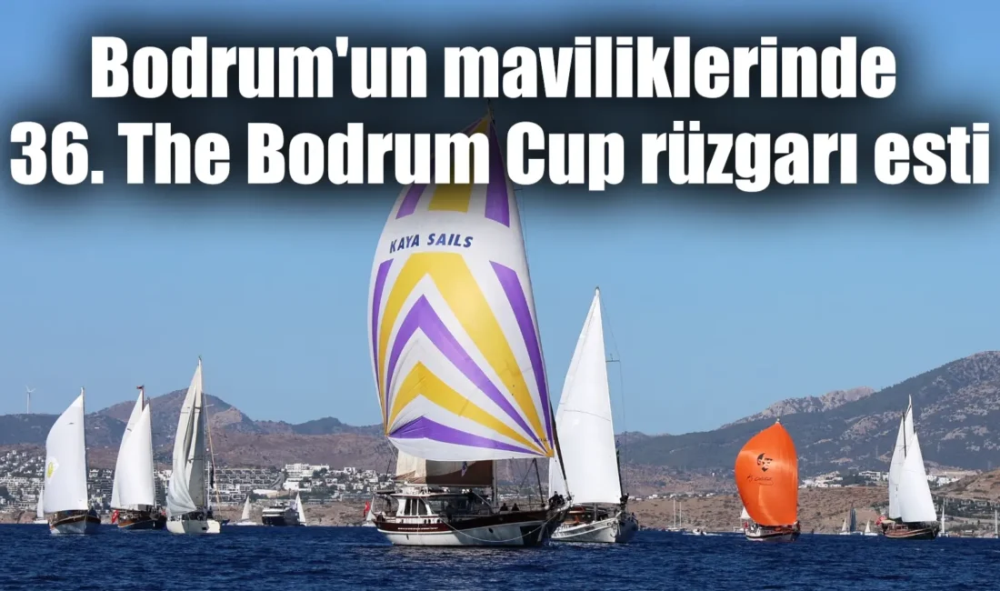 Bodrum’da bu yıl 36’cısı