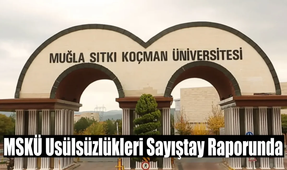 Türkiye Cumhuriyeti Sayıştay Başkanlığı,