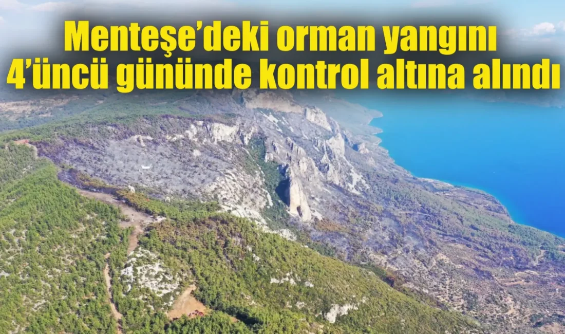 Muğla’nın Menteşe çıkan orman