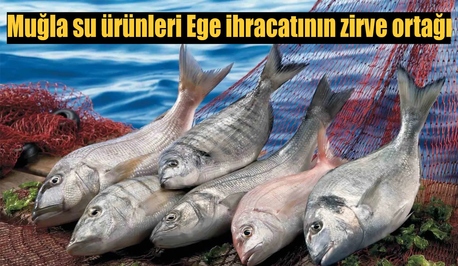 Muğla su ürünleri Ege ihracatının zirve ortağı