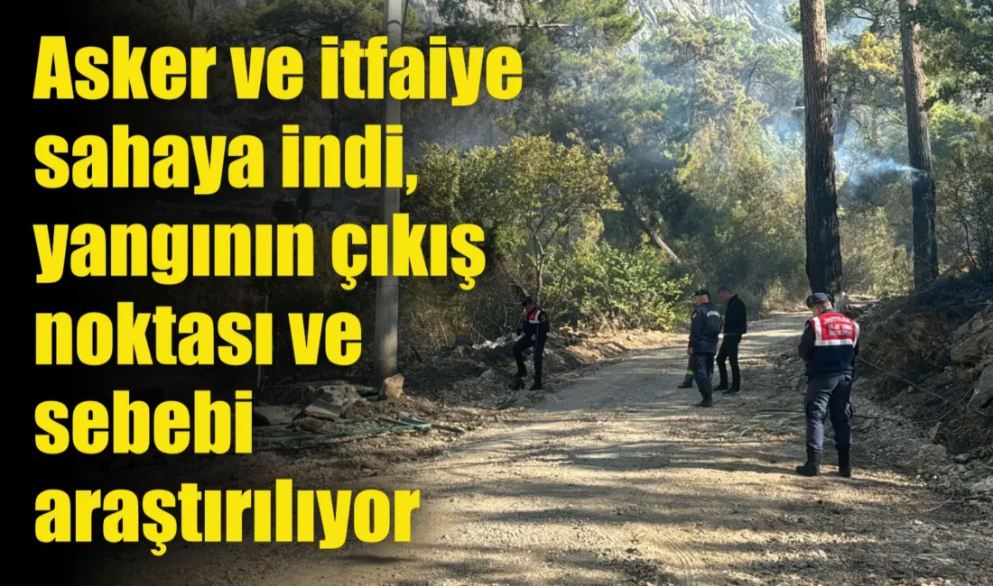 Muğla’nın Menteşe ilçesinde çıkan