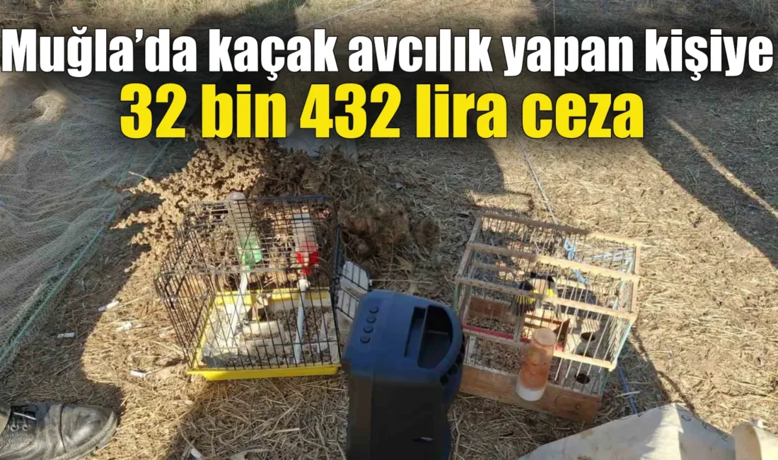 Muğla’nın Ula ilçesinde, doğa