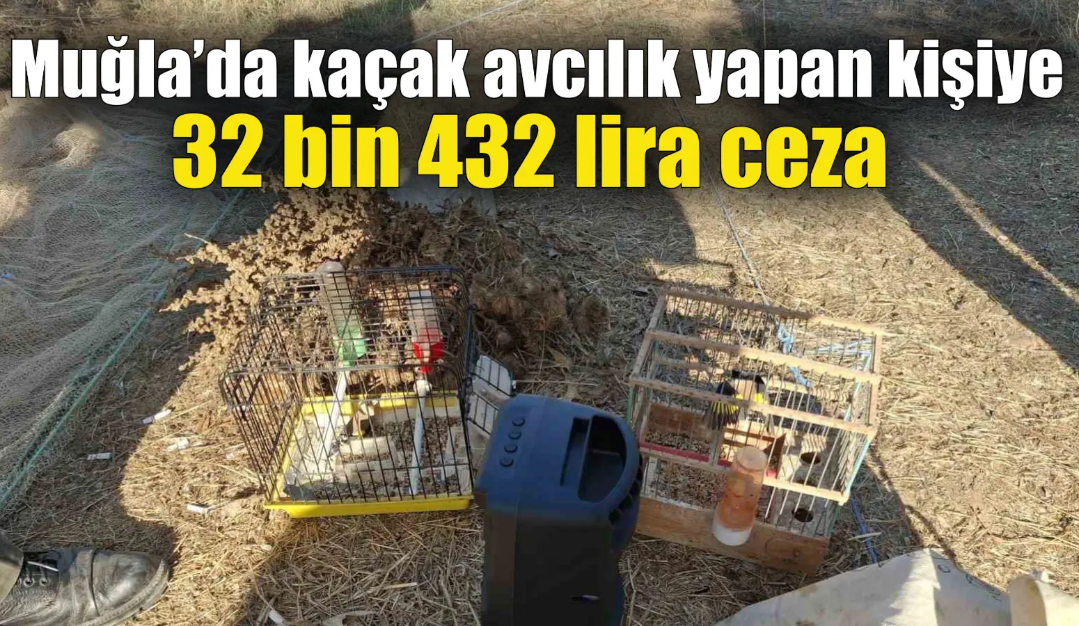 Muğla’da kaçak avcılık yapan kişiye para cezası kesildi