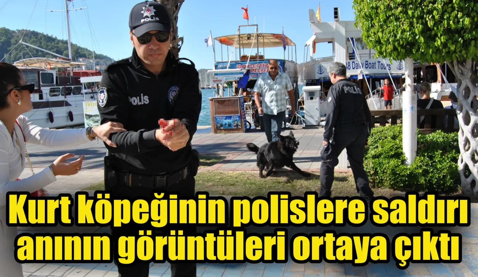 Muğla’da kurt köpeğinin polislere saldırı anının görüntüleri ortaya çıktı