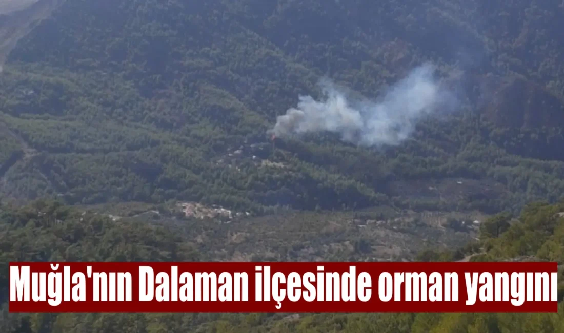 Muğla’nın Dalaman ilçesine bağlı