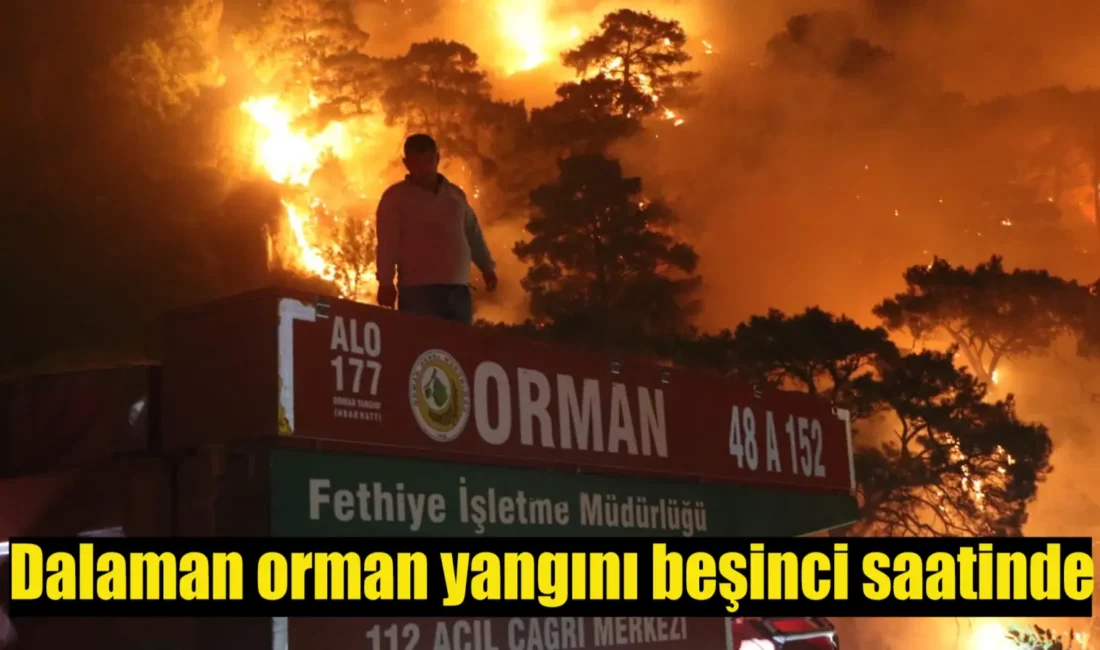 Muğla’nın Dalaman ilçesinde çıkan