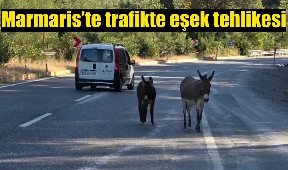 Muğla’nın Marmaris ilçesinde yol