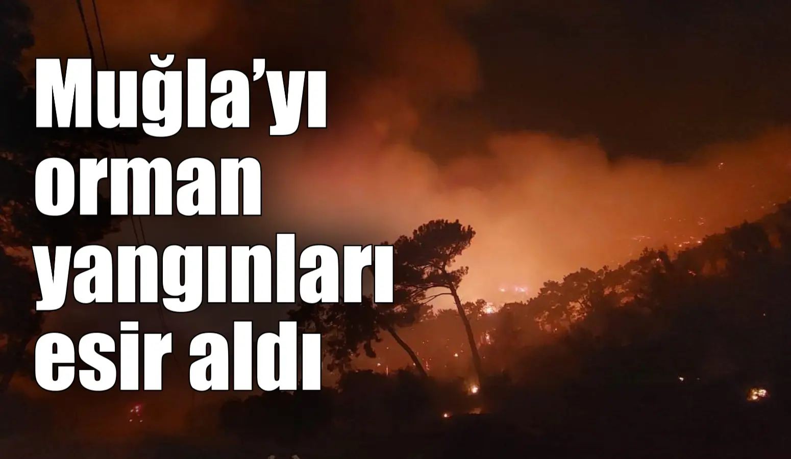 Muğla’yı orman yangınları esir aldı